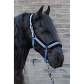 Harry's Horse Ensemble Licol Soft Flint Stone Harry's Horse Ensemble Licol Soft Flint Stone