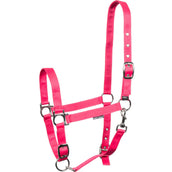 Harry's Horse Licol 3x Réglable Fuchsia Harry's Horse Licol 3x Réglable Fuchsia