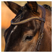 Harry's Horse Bride Anatomic Gold Marron Harry's Horse Bride Anatomic Gold Marron