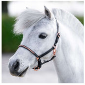 Harry's Horse Licol Crystal Poney/Poulain Noir/Or Rose Harry's Horse Licol Crystal Poney/Poulain Noir/Or Rose