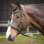 Harry's Horse Caveçon Comfort Cuir Noir Harry's Horse Caveçon Comfort Cuir Noir