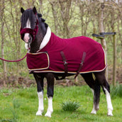 HB Couverture de Concours Dutch Crown Little Sizes Bordeaux HB Couverture de Concours Dutch Crown Little Sizes Bordeaux