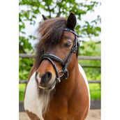HB Ruitersport Bride Showtime Petit Royal Noir HB Ruitersport Bride Showtime Petit Royal Noir