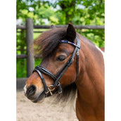 HB Ruitersport Bride Showtime Petit Royal Noir HB Ruitersport Bride Showtime Petit Royal Noir