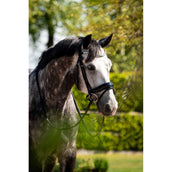 HB Ruitersport Bride Showtime Ultimate Dream Noir HB Ruitersport Bride Showtime Ultimate Dream Noir