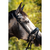 HB Ruitersport Bride Showtime Ultimate Dream Noir HB Ruitersport Bride Showtime Ultimate Dream Noir