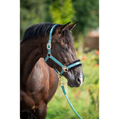 HB Licol Showtime Pioneer Forêt Verte HB Licol Showtime Pioneer Forêt Verte