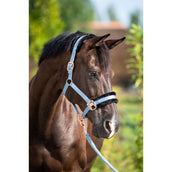 HB Licol Showtime Pioneer Bleu glace HB Licol Showtime Pioneer Bleu glace