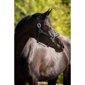 HB Ruitersport Licol Showtime Grand Slam Noir/Aqua Blue HB Ruitersport Licol Showtime Grand Slam Noir/Aqua Blue