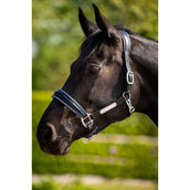 HB Ruitersport Licol Showtime Grand Slam Noir/Aqua Blue HB Ruitersport Licol Showtime Grand Slam Noir/Aqua Blue
