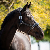 HB Ruitersport Licol Showtime Grand Slam Noir/Argent HB Ruitersport Licol Showtime Grand Slam Noir/Argent