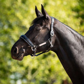 HB Ruitersport Licol Showtime Grand Slam Noir/Argent HB Ruitersport Licol Showtime Grand Slam Noir/Argent
