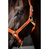 HB Showtime Licol Name Cognac HB Showtime Licol Name Cognac