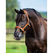 HB Showtime Licol Name Cognac HB Showtime Licol Name Cognac