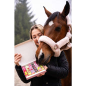 Candy Horse Love Cookies Icing Sticks Candy Horse Love Cookies Icing Sticks