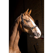 HB Showtime Licol Glitty Marron/Golden Glitter HB Showtime Licol Glitty Marron/Golden Glitter