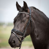 Harry's Horse Bride Diamond Lacque Noir Harry's Horse Bride Diamond Lacque Noir