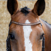 Harry's Horse Bride Copper Marron Harry's Horse Bride Copper Marron