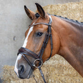 Harry's Horse Bride Copper Marron Harry's Horse Bride Copper Marron