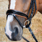 Harry's Horse Bride Black Cognac Noir Harry's Horse Bride Black Cognac Noir