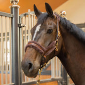 Harry's Horse Licol Leder Anatomic Furry Matt Marron Harry's Horse Licol Leder Anatomic Furry Matt Marron