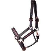 Harry's Horse Licol Leder Metallic Noir/Or rose Harry's Horse Licol Leder Metallic Noir/Or rose