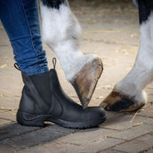 Harry's Horse Chaussures d'Écurie Leder Safety Steel Toe Noir Harry's Horse Chaussures d'Écurie Leder Safety Steel Toe Noir