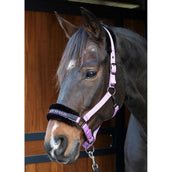 Harry's Horse Licol Lyrics Quotes Lila Harry's Horse Licol Lyrics Quotes Lila