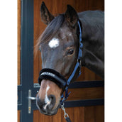 Harry's Horse Licol Lyrics Quotes Marin Harry's Horse Licol Lyrics Quotes Marin