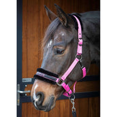 Harry's Horse Licol Lyrics Quotes Rose Harry's Horse Licol Lyrics Quotes Rose