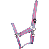 Harry's Horse Licol Economy Bleu Clair/Rose/Bleu Clair Harry's Horse Licol Economy Bleu Clair/Rose/Bleu Clair