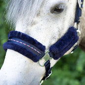 Harry's Horse Ensemble Licol Denici Cavalli Purple Passion Crystal Peacoat Harry's Horse Ensemble Licol Denici Cavalli Purple Passion Crystal Peacoat
