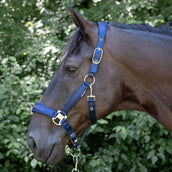 Harry's Horse Ensemble Licol Denici Cavalli Purple Passion Satin Peacoat Harry's Horse Ensemble Licol Denici Cavalli Purple Passion Satin Peacoat