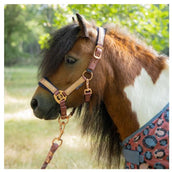 Harry's Horse Ensemble Licol Diva Mauvewood Mauvewood Harry's Horse Ensemble Licol Diva Mauvewood Mauvewood