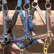 Harry's Horse Ensemble Licol Equestrian Society Black Sand Harry's Horse Ensemble Licol Equestrian Society Black Sand