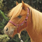 HKM Licol Mini Shetland Vin rouge HKM Licol Mini Shetland Vin rouge