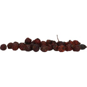 Excellent Herbs Cynorrhodon Excellent Herbs Cynorrhodon
