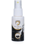 Excellent Spray Hi Gloss Excellent Spray Hi Gloss