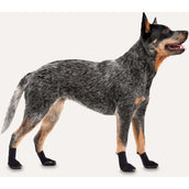Goo-eez Regular Dog Boots 2-pack Noir Goo-eez Regular Dog Boots 2-pack Noir