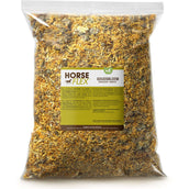 HorseFlex Souci HorseFlex Souci