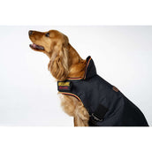 Horseware Couverture pour Chien Newmarket Witney Gold Horseware Couverture pour Chien Newmarket Witney Gold