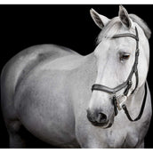 Horseware Micklem Diamante Competition Bridle Noir Horseware Micklem Diamante Competition Bridle Noir