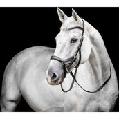 Horseware Micklem Competition Bridle Noir Horseware Micklem Competition Bridle Noir