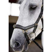 Horseware Micklem Multi Bridle Noir Horseware Micklem Multi Bridle Noir
