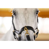 Horseware Micklem Multi Bridle Noir Horseware Micklem Multi Bridle Noir