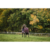 Amigo Turnout 1200D 0g Burgundy/Navy/Titanium Grey Amigo Turnout 1200D 0g Burgundy/Navy/Titanium Grey