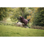 Amigo Turnout Plus 1200D 250g Burgundy/Navy/Titanium Grey Amigo Turnout Plus 1200D 250g Burgundy/Navy/Titanium Grey