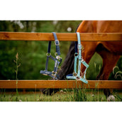 Horseware Licol Field Safe Blue Haze Horseware Licol Field Safe Blue Haze