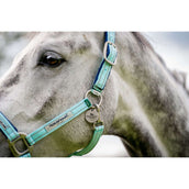 Horseware Licol Field Safe Blue Haze Horseware Licol Field Safe Blue Haze