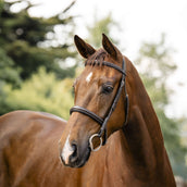 Horseware Bride Hunter Havana Brown Horseware Bride Hunter Havana Brown
